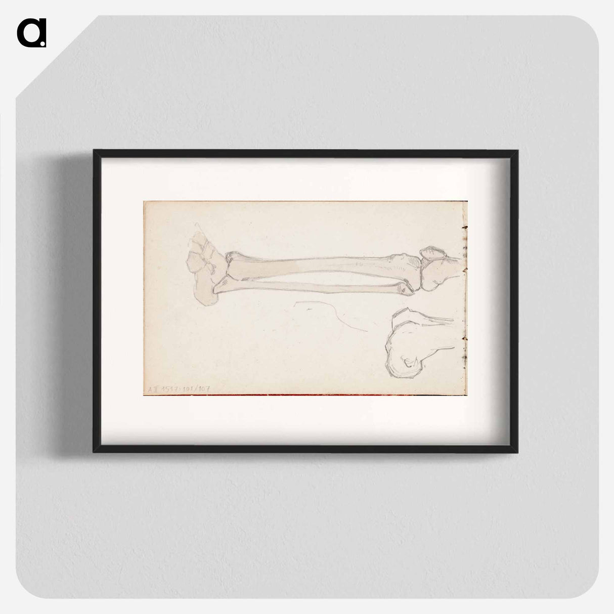 (unknown)part of a sketchbook - アルバート エーデルフェルト Poster.