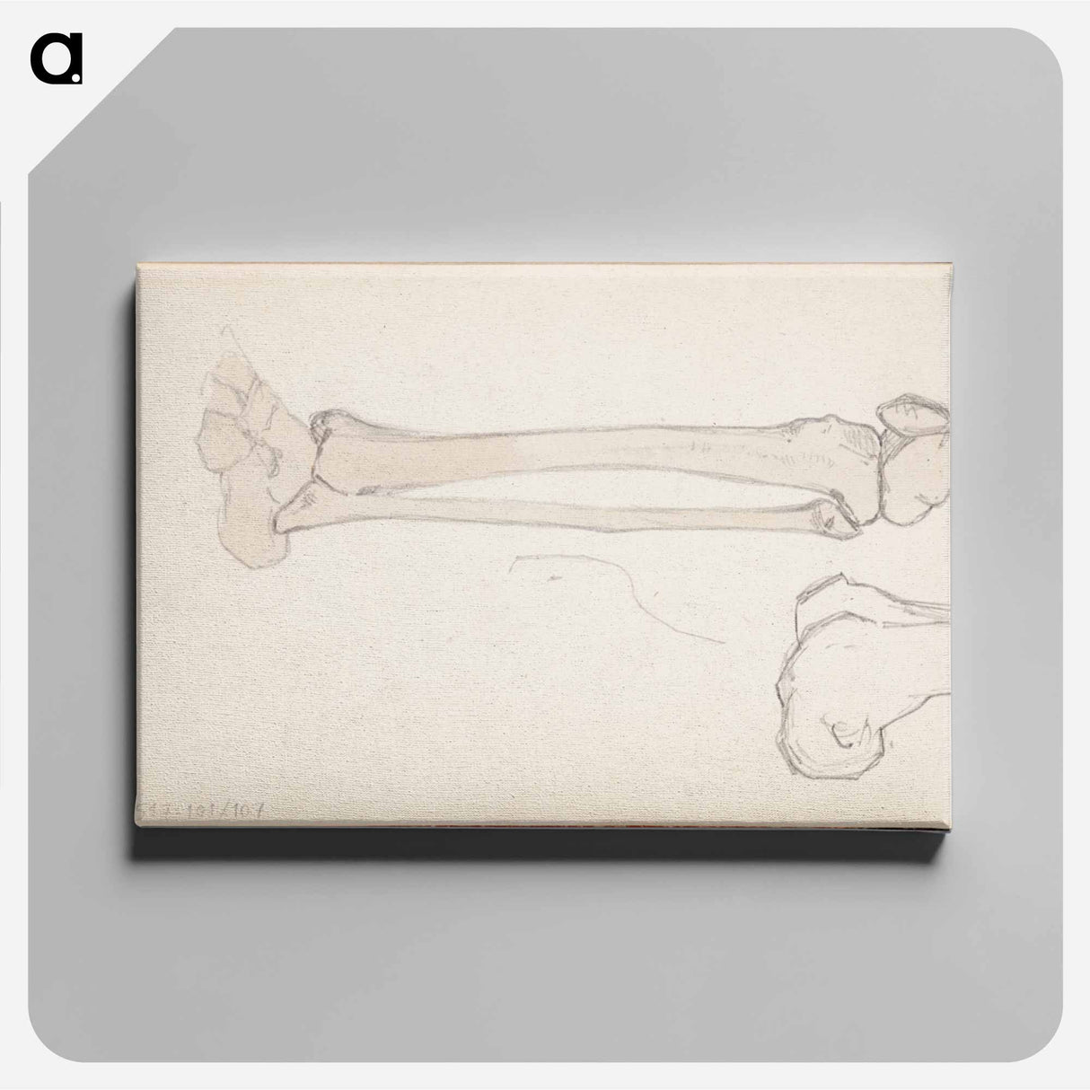 アートパネル-(unknown)part of a sketchbook - アルバート エーデルフェルト Canvas.
