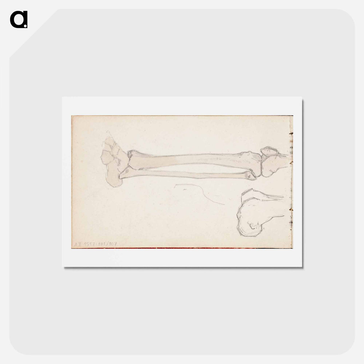 (unknown)part of a sketchbook - アルバート エーデルフェルト Postcard.