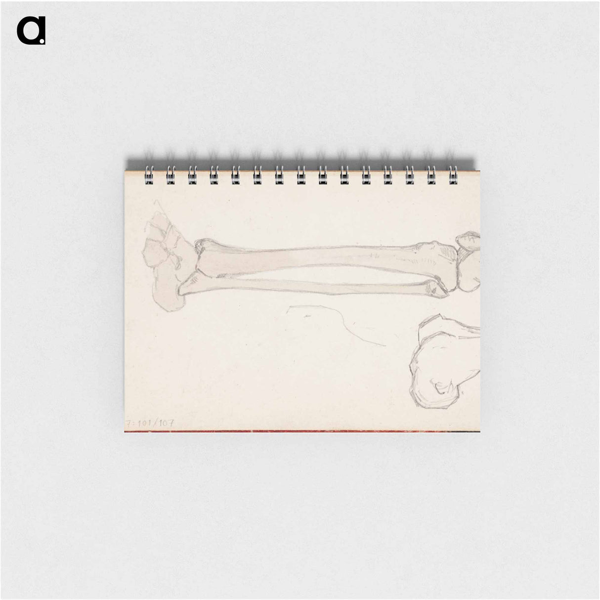 アートメモ帳-(unknown)part of a sketchbook - アルバート エーデルフェルト Memo.