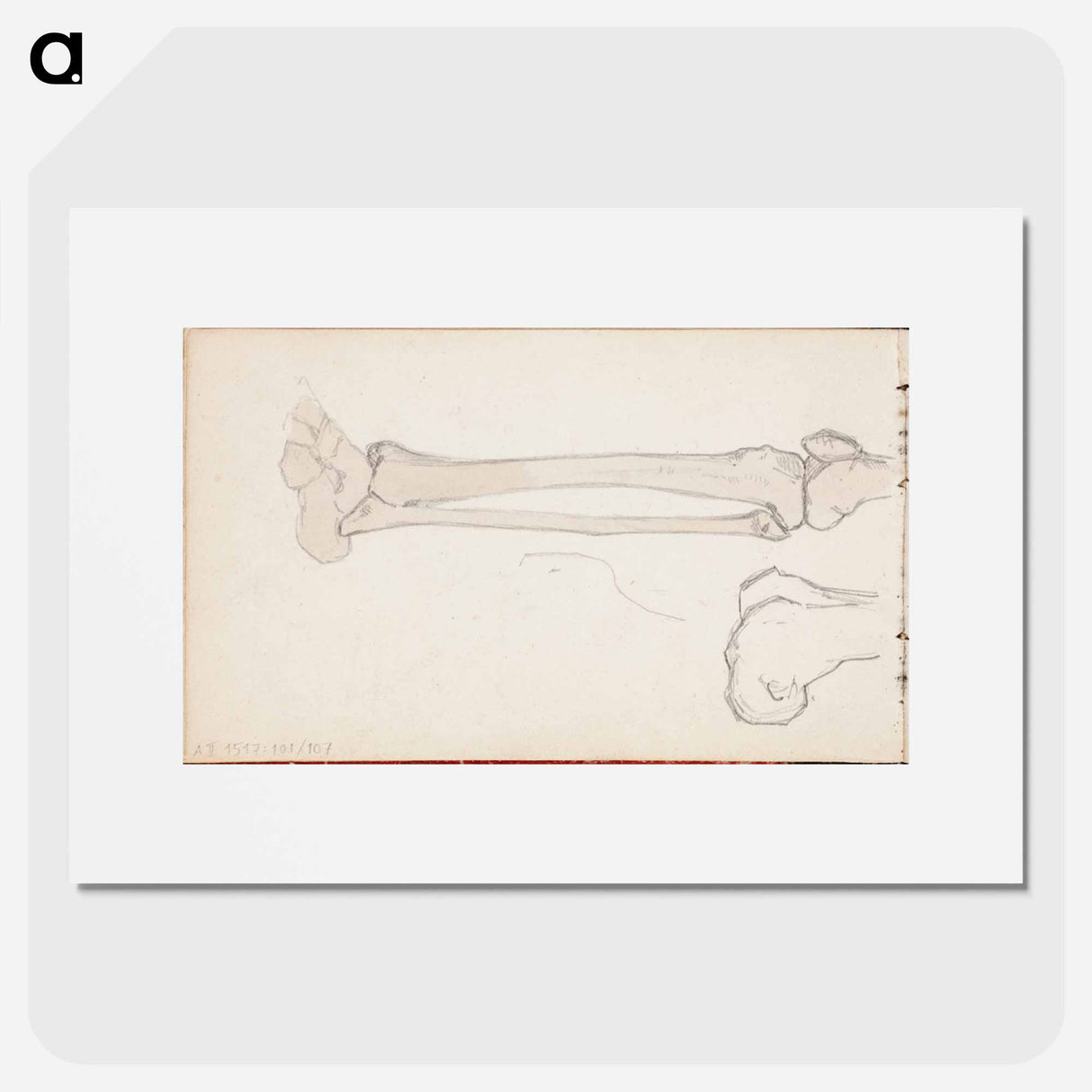 (unknown)part of a sketchbook - アルバート エーデルフェルト Poster.