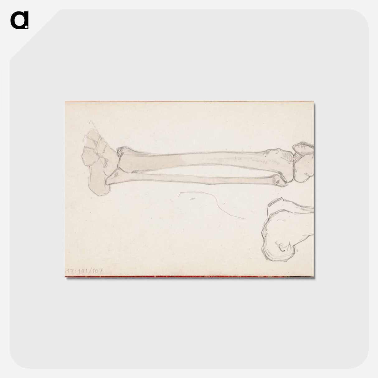 アートポストカード-(unknown)part of a sketchbook - アルバート エーデルフェルト Postcard.