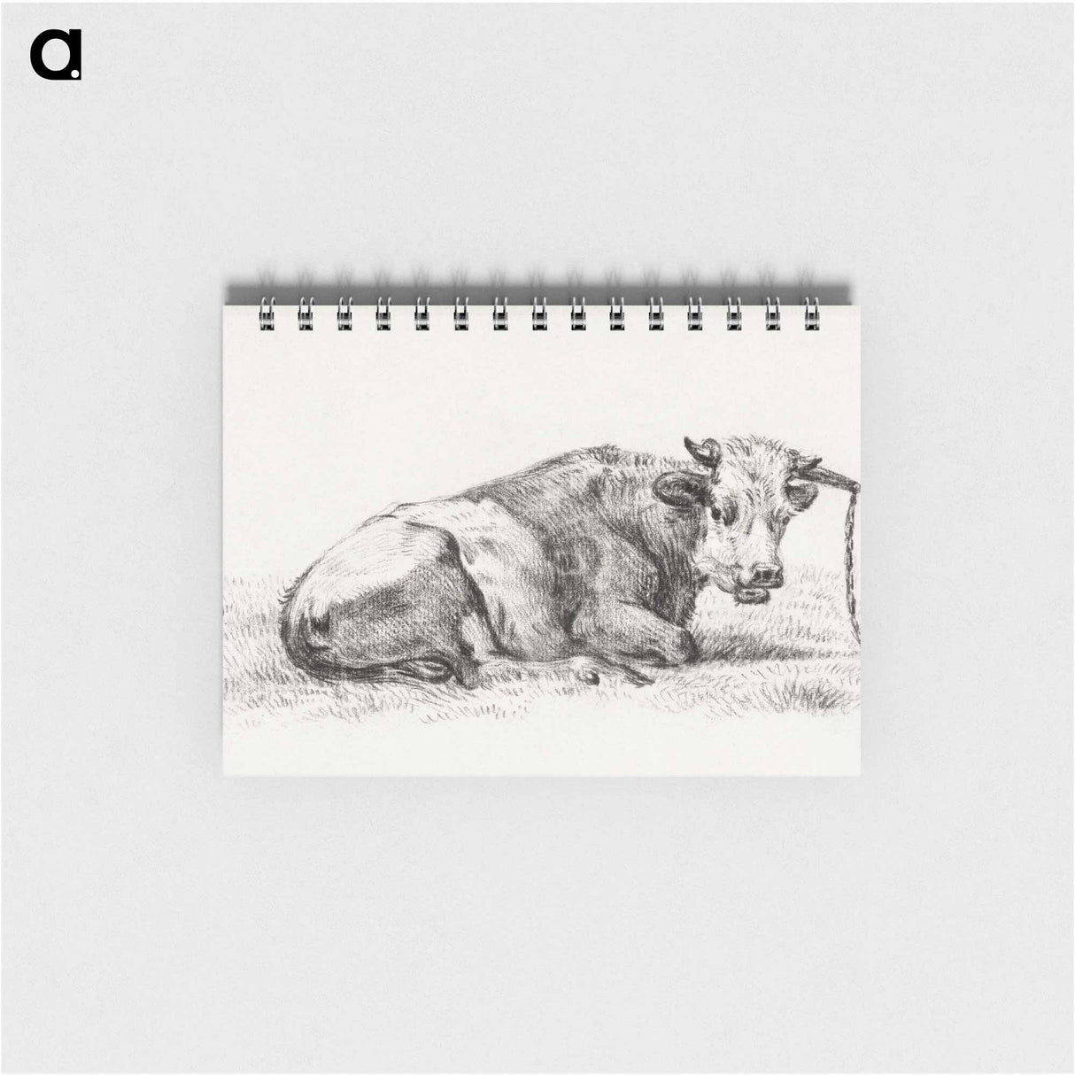 Lying cow - ジャン ベルナール Memo.