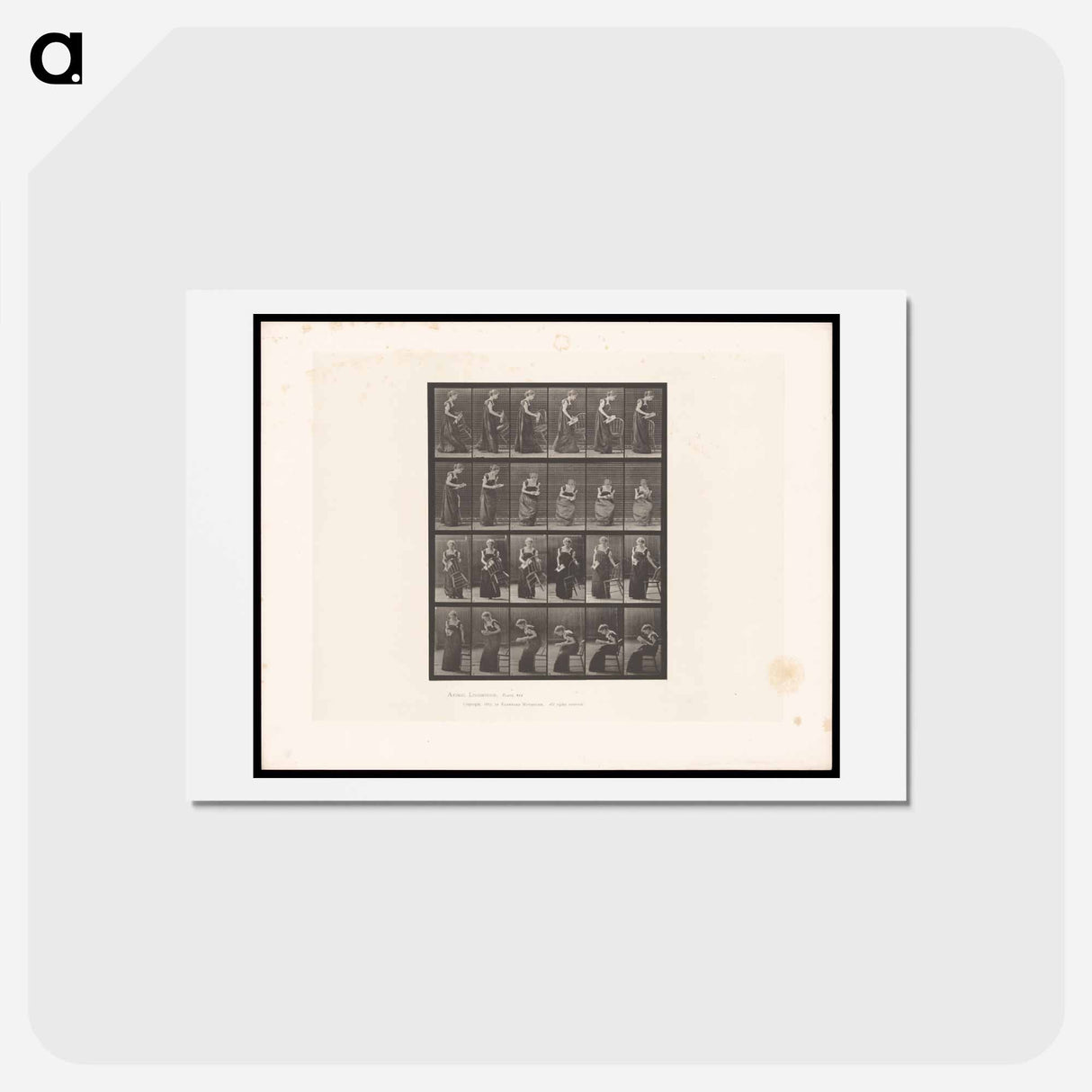 アートポストカード-Reading Woman
- エドワード マイブリッジ Postcard.