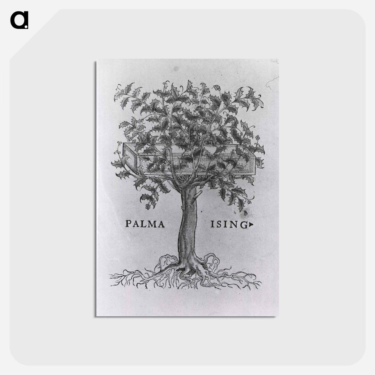 アートポストカード-Printer's Mark with Holly Tree
- 国立医学図書館 Postcard.