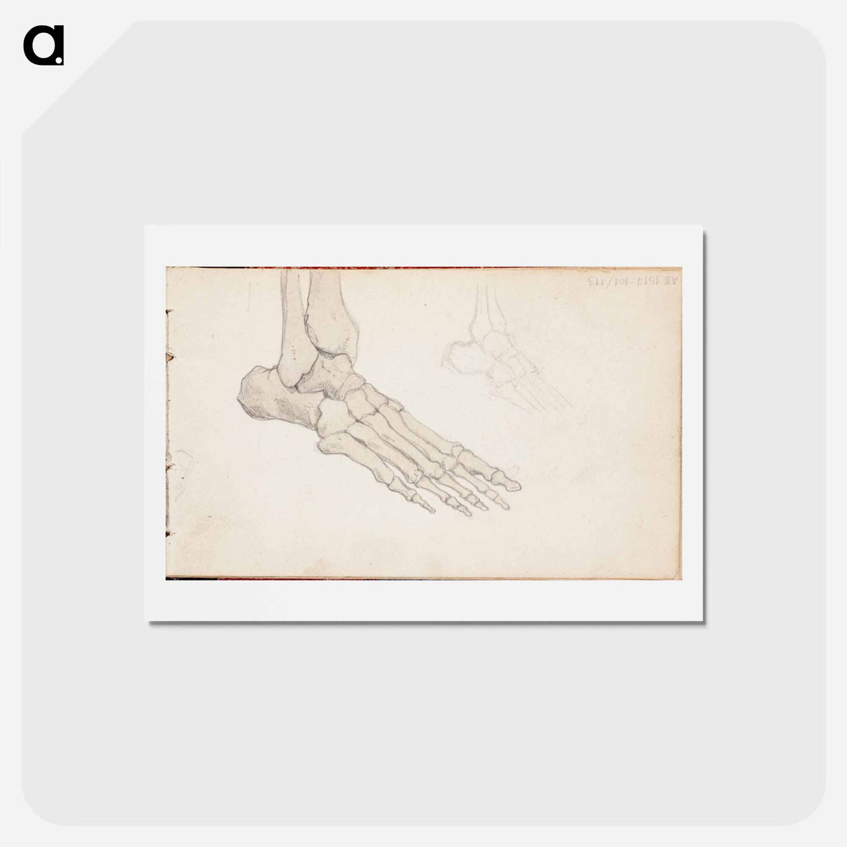 アートポストカード-(unknown)part of a sketchbook - アルバート エーデルフェルト Postcard.