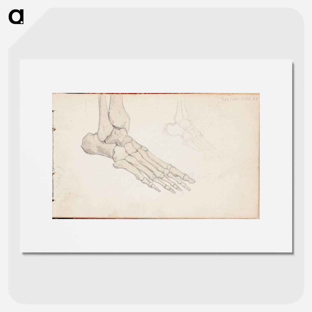 (unknown)part of a sketchbook - アルバート エーデルフェルト Poster.