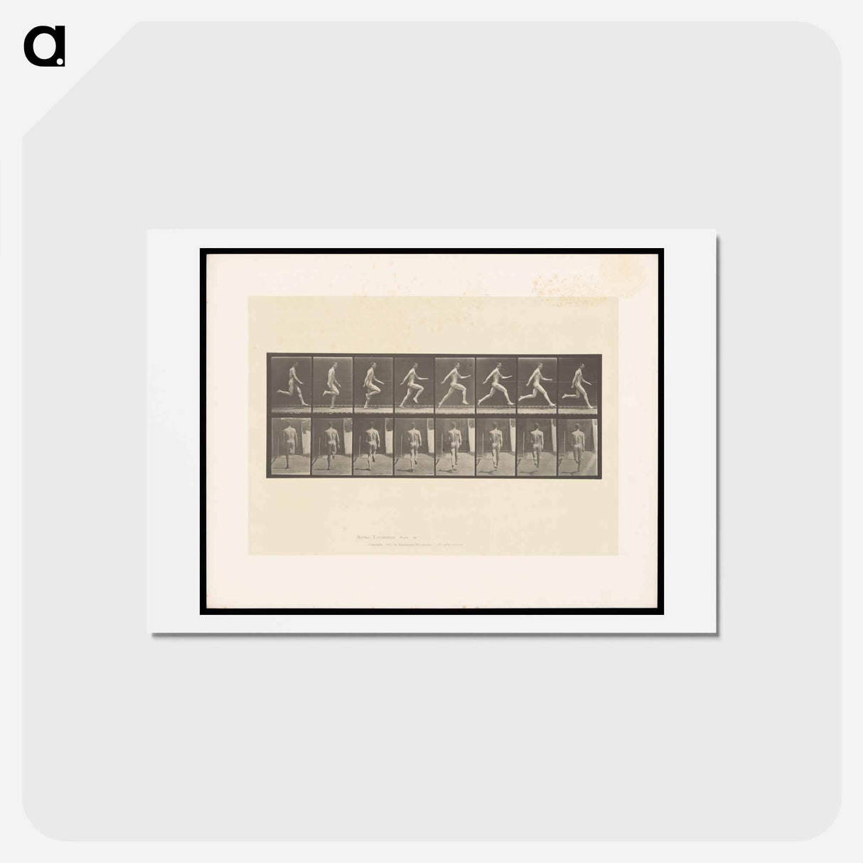 アートポストカード-Sprinting Man
- エドワード マイブリッジ Postcard.