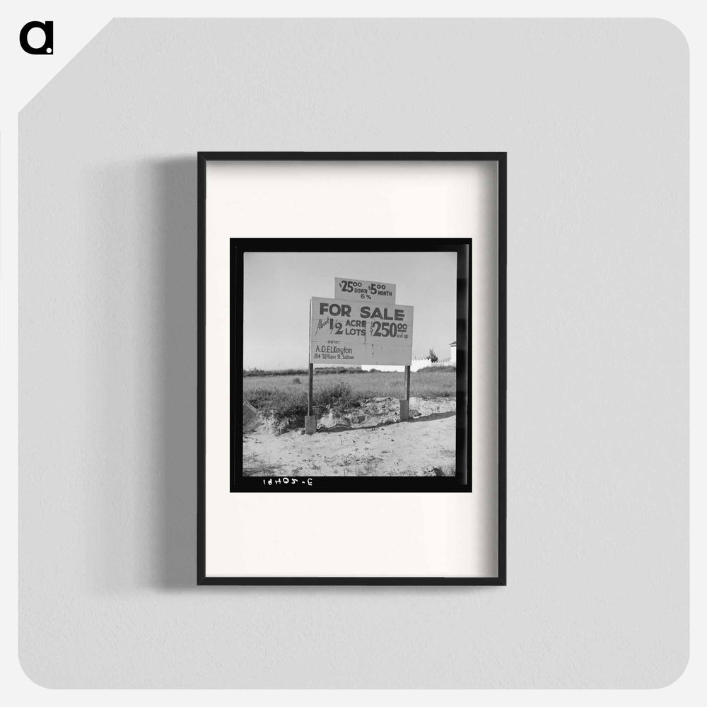 Housing for rapidly growing fringe of lettuce workers on edge of town - Dorothea Lange Poster.