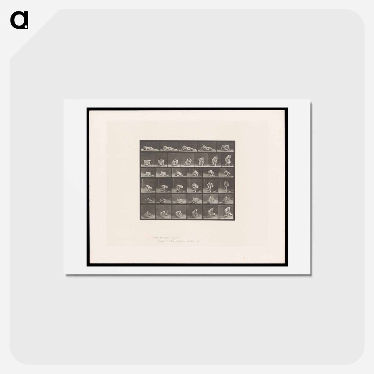 アートポストカード-The Reader
- エドワード マイブリッジ Postcard.