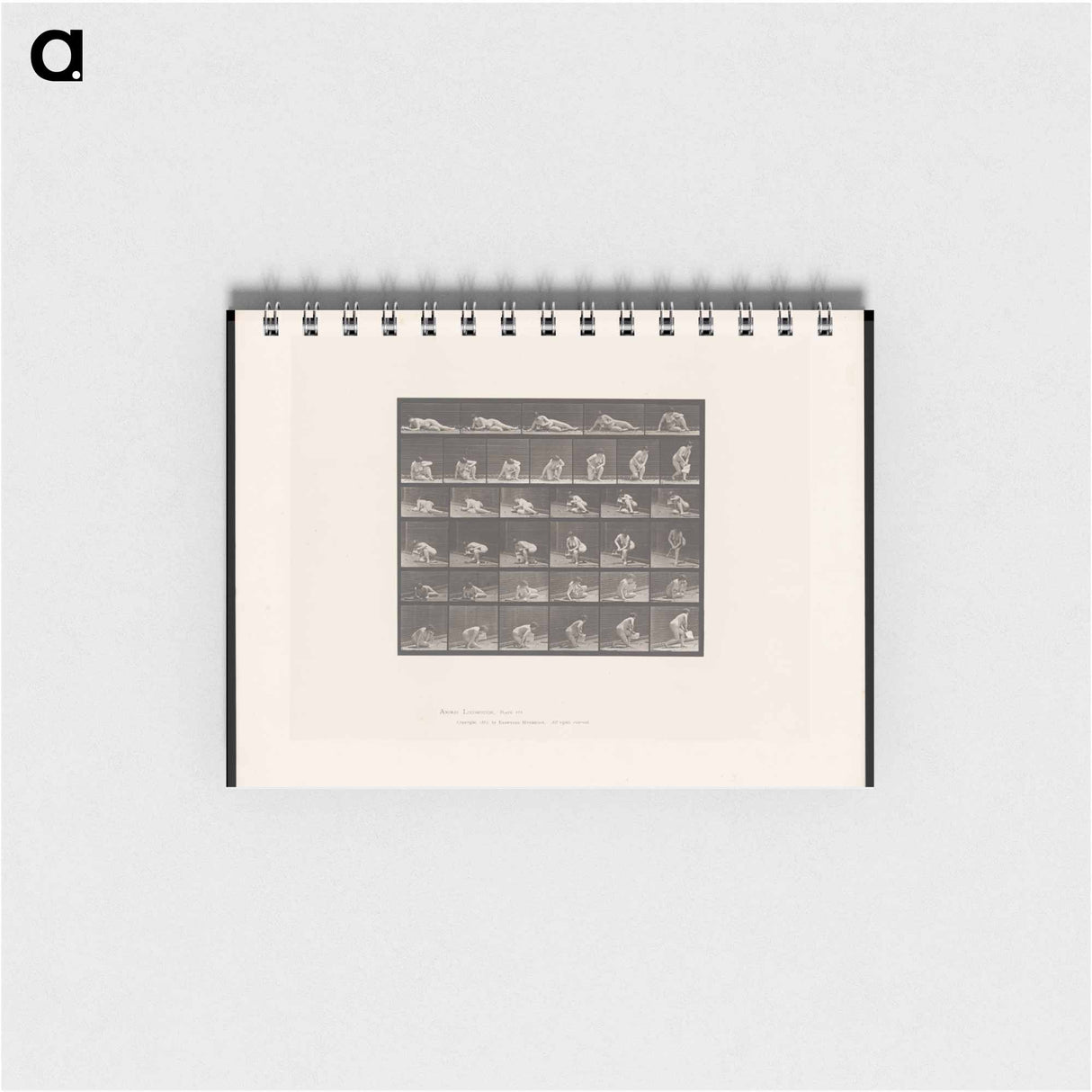 アートメモ帳-The Reader
- エドワード マイブリッジ Memo.