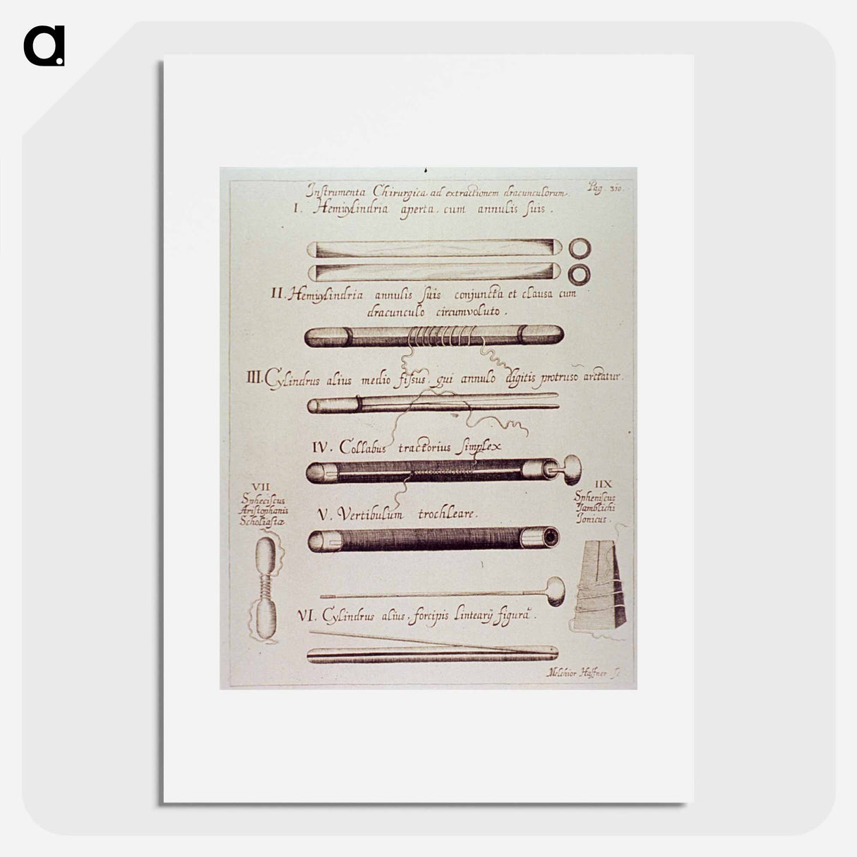 アートポスター-Instrumenta Chirurgica ad extractionem dracunculorum
- 国立医学図書館 Poster.