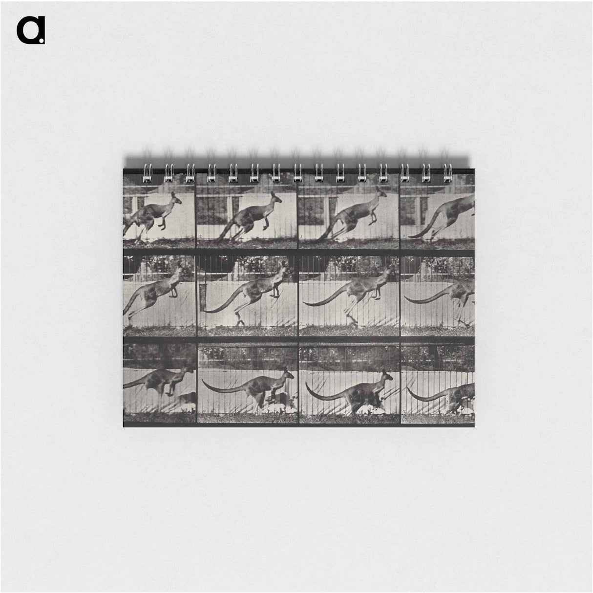 アートメモ帳-Jumping Kangaroo
- エドワード マイブリッジ Memo.