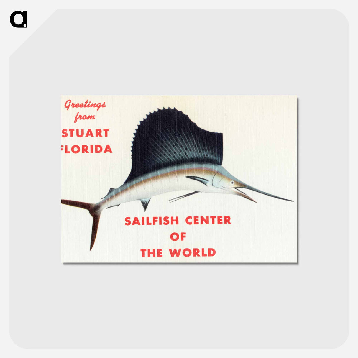アートポストカード-Greetings from Stuart, Florida
- ボストン公共図書館 Postcard.