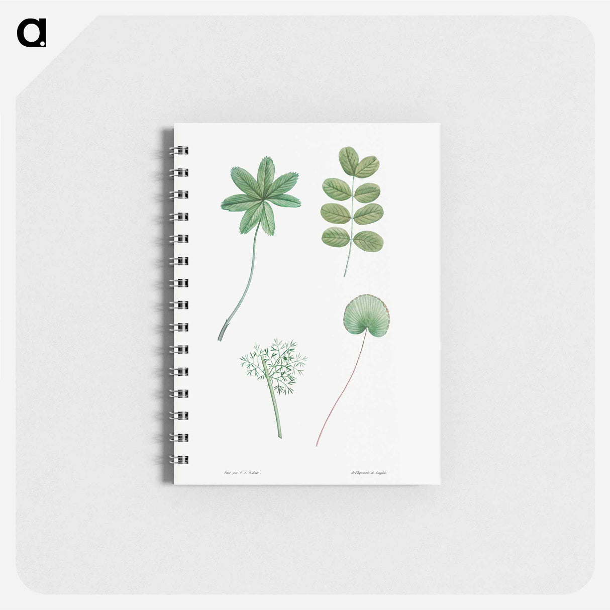 アートメモ帳-Tree leaf set - ピエール ジョゼフ ルドゥーテ Memo.