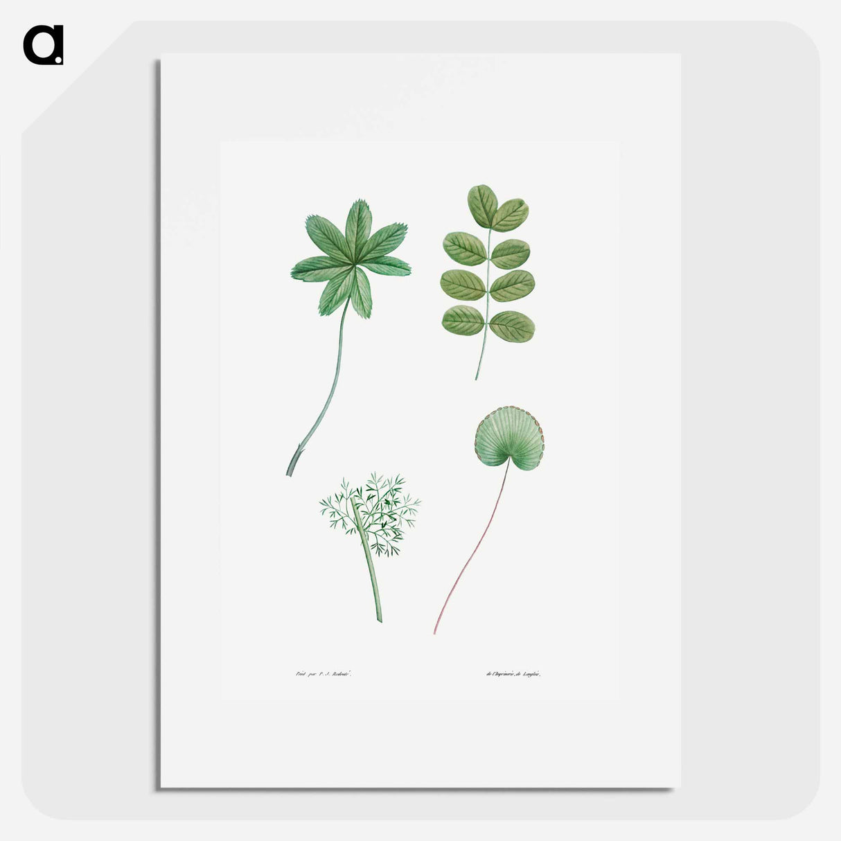 Tree leaf set - Pierre Joseph Redouté Poster.