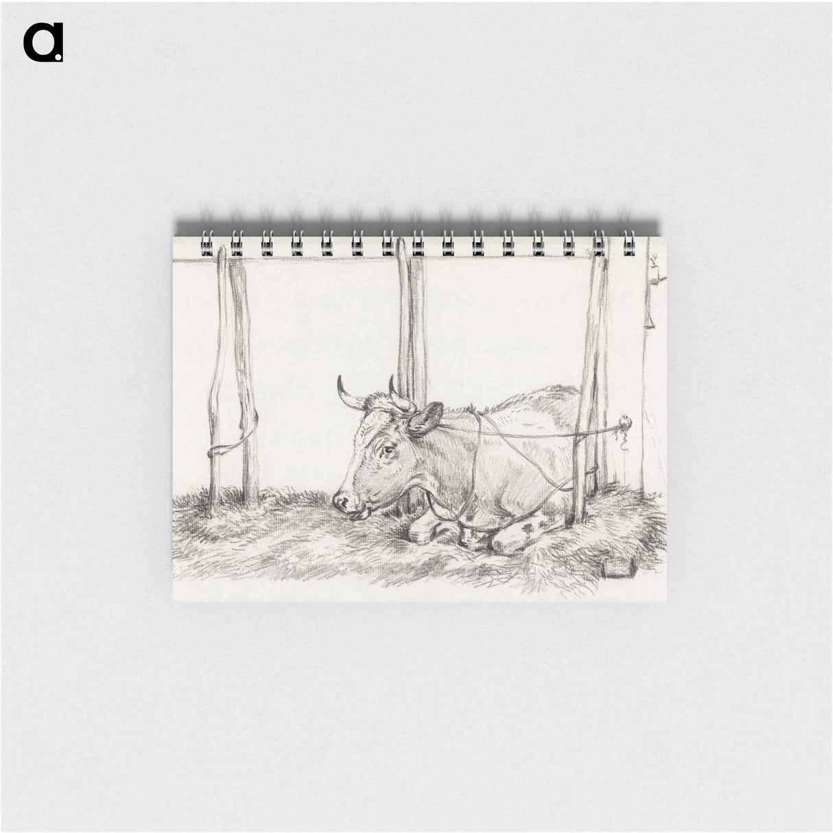 Lying cow - ジャン ベルナール Memo.