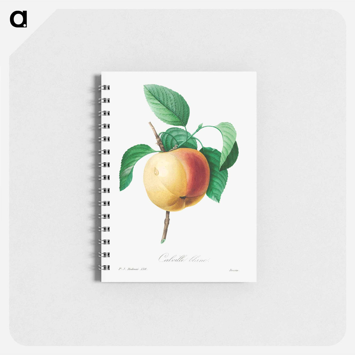 アートメモ帳-Apple - ピエール ジョゼフ ルドゥーテ Memo.