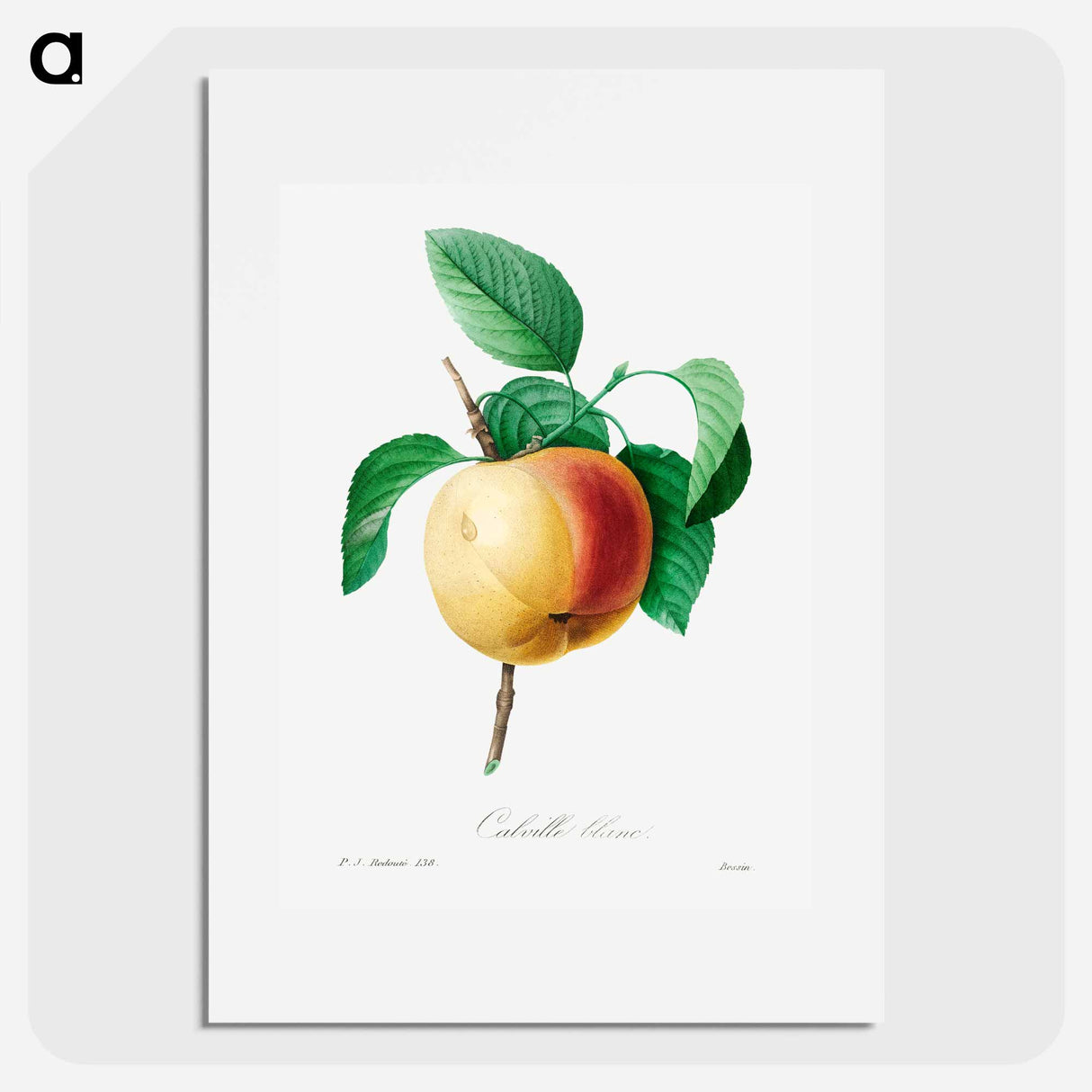 Apple - Pierre Joseph Redouté Poster.