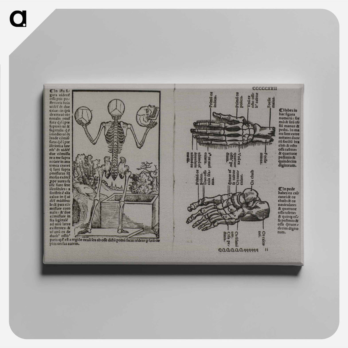 アートパネル-Skeletal Structure of the Human Body
- 国立医学図書館 Canvas.