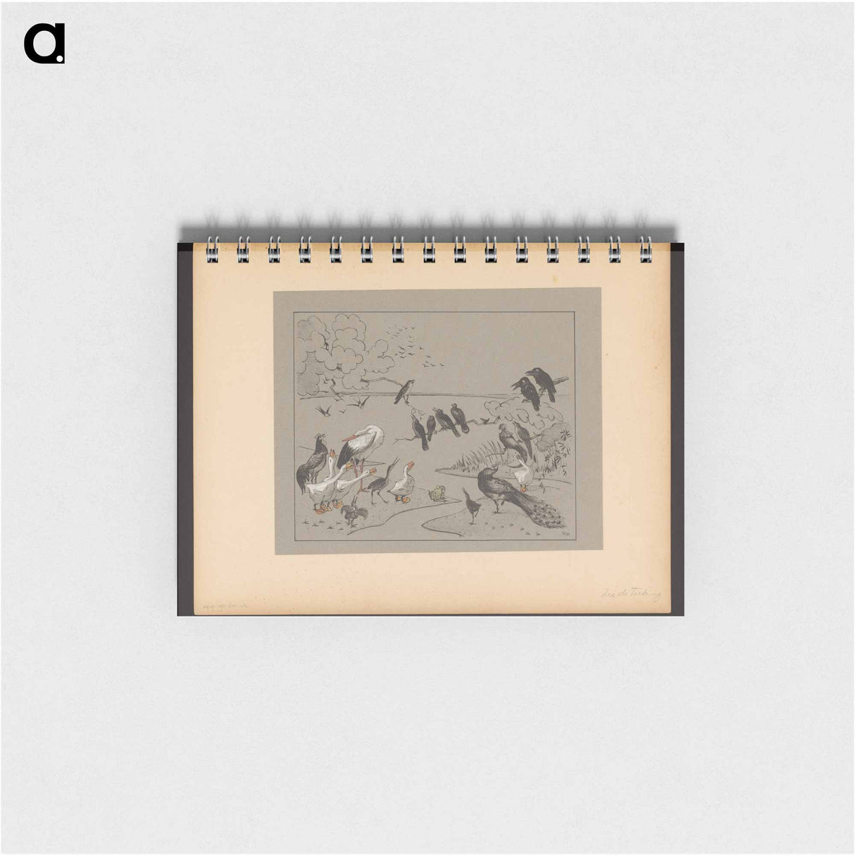 Groep diverse vogels en een kikker - テオ ヴァン ホイテマ Memo.