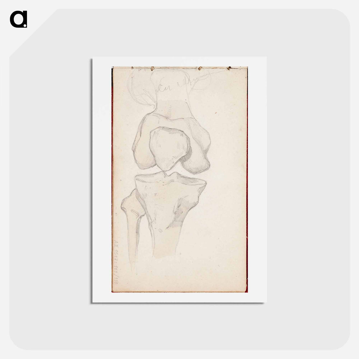 (unknown) part of a sketchbook - アルバート エーデルフェルト Postcard.