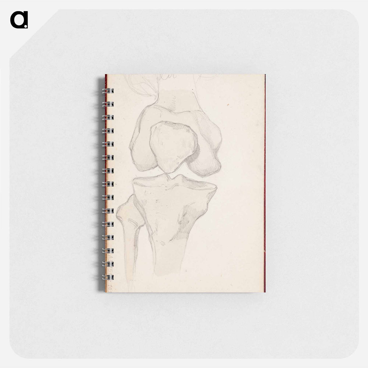 アートメモ帳-(unknown) part of a sketchbook - アルバート エーデルフェルト Memo.