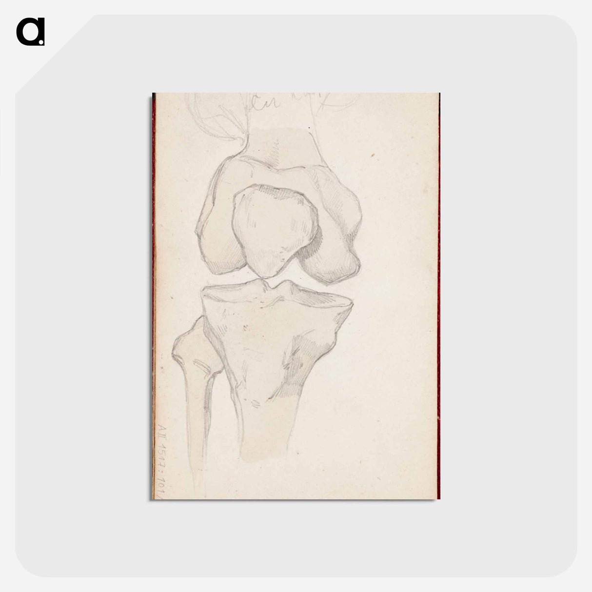 アートポストカード-(unknown) part of a sketchbook - アルバート エーデルフェルト Postcard.