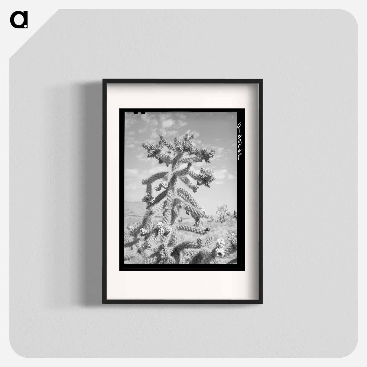 アートポスター-Cactus in Bloom, Graham County
- ラッセル リー Poster.