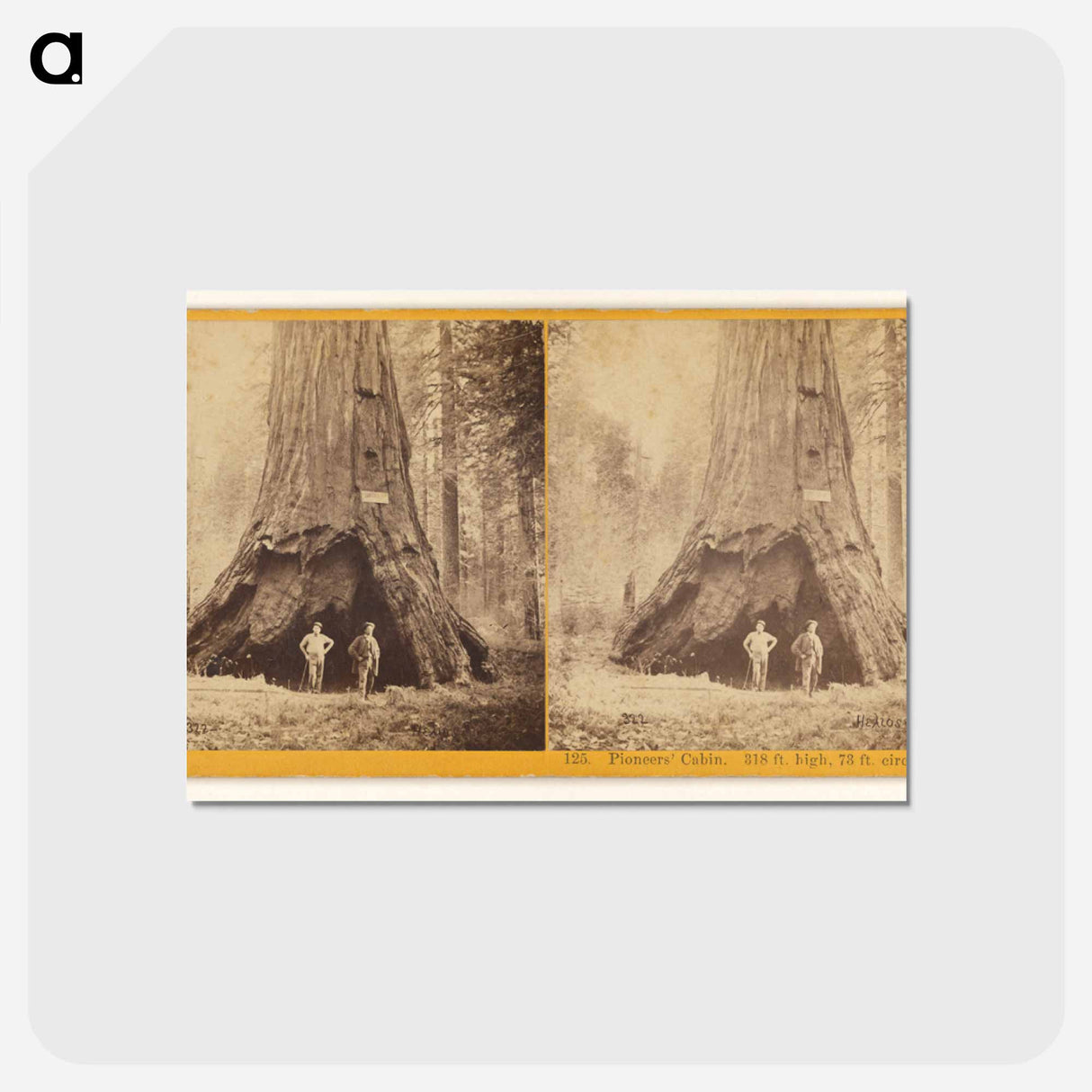 アートポストカード-Pioneers' Cabin
- エドワード マイブリッジ Postcard.
