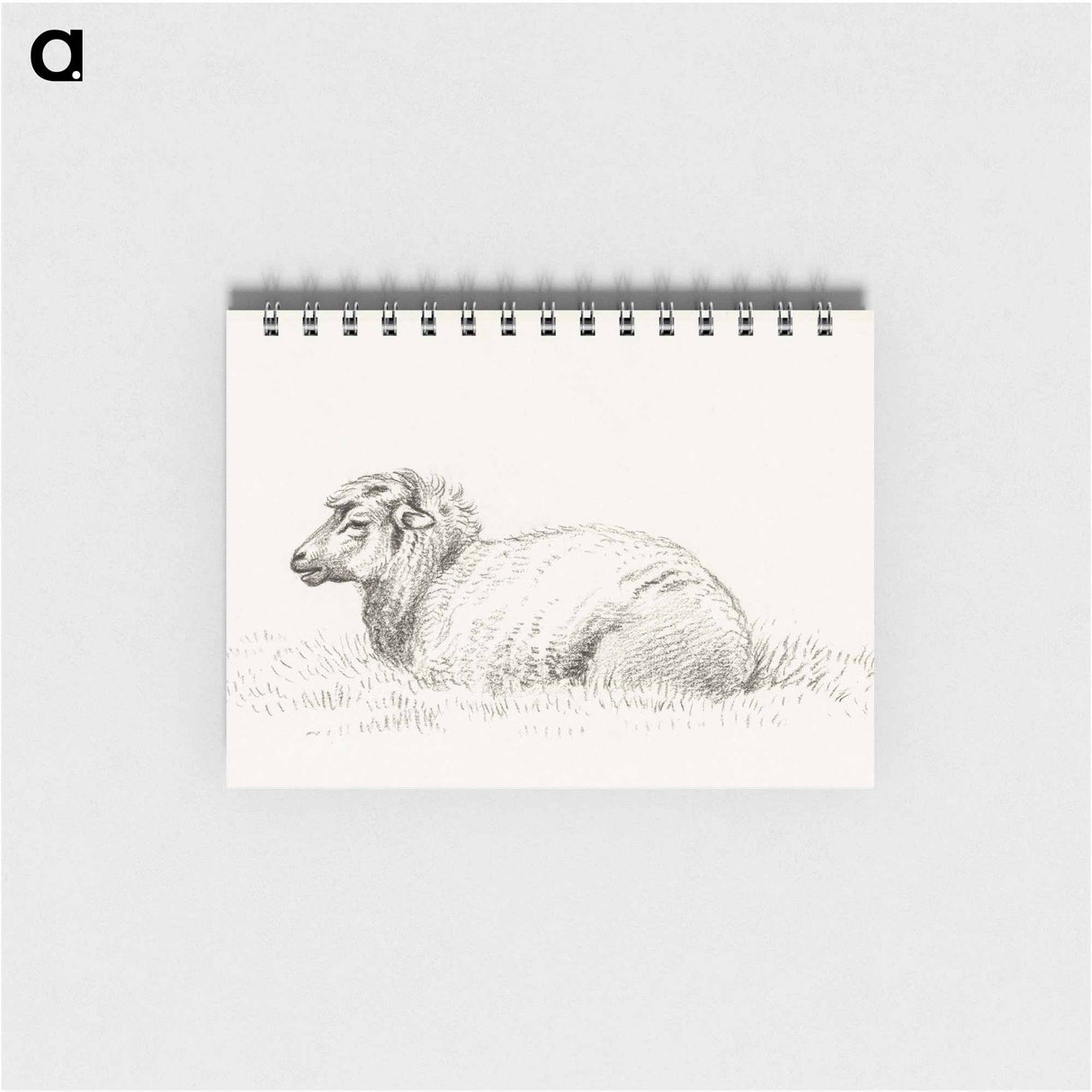 Lying sheep - ジャン ベルナール Memo.