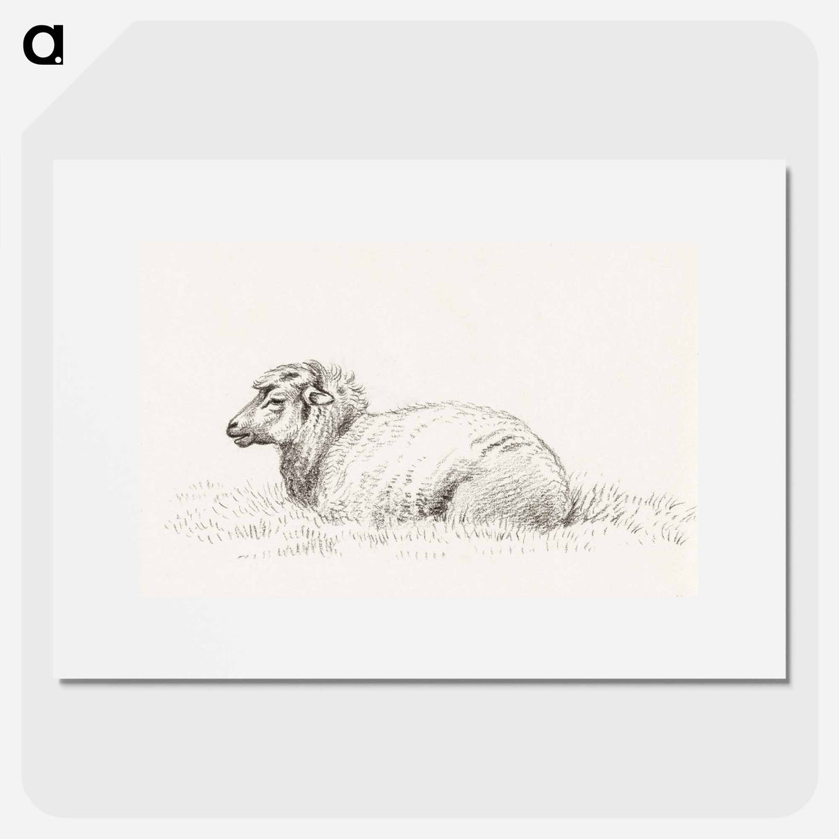 Lying sheep - ジャン ベルナール Poster.