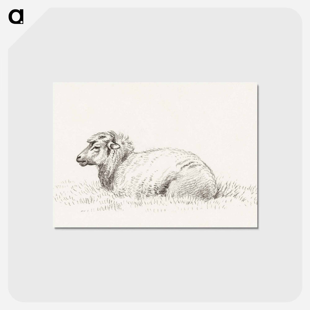 アートポストカード-Lying sheep - ジャン ベルナール Postcard.