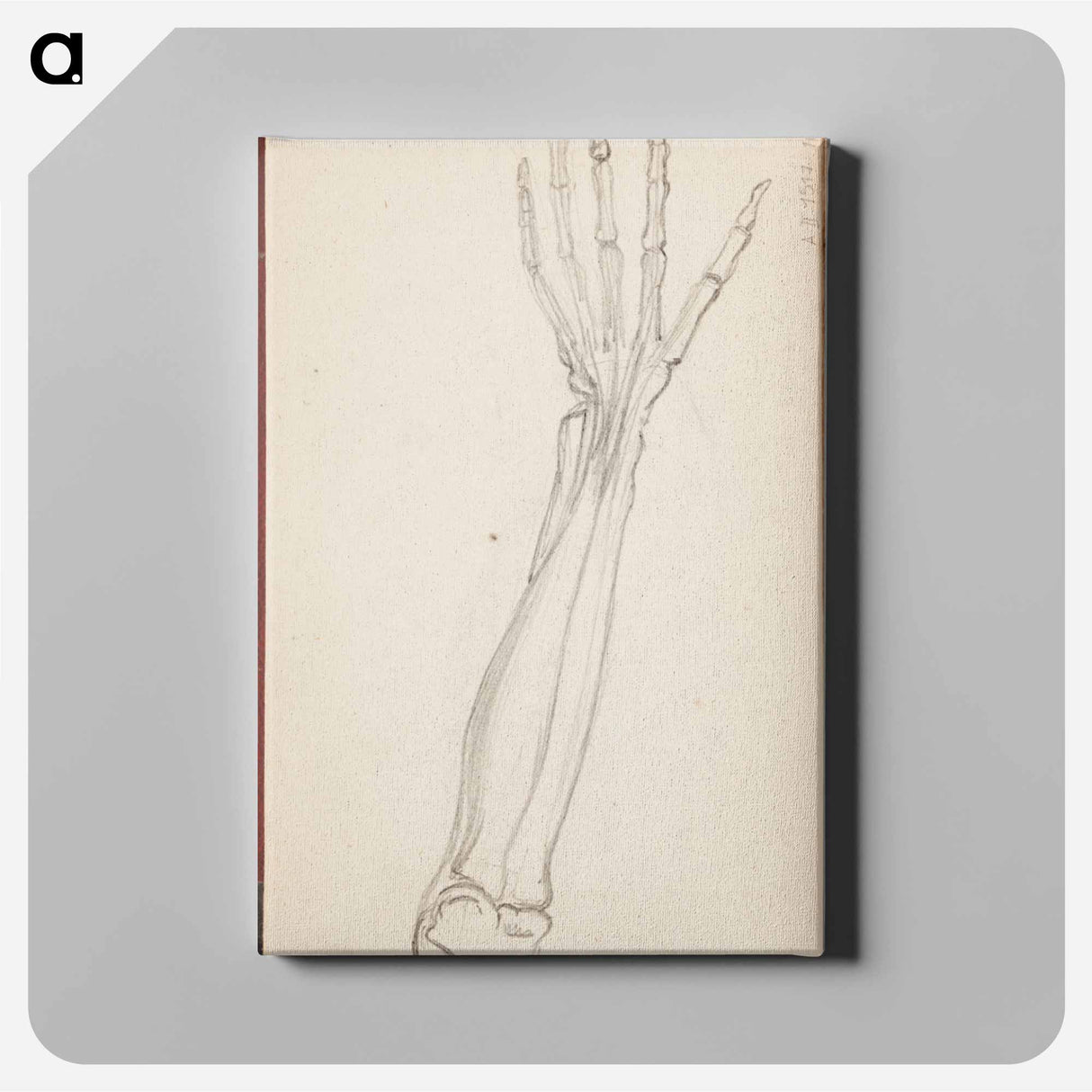 アートパネル-(unknown) part of a sketchbook - アルバート エーデルフェルト Canvas.