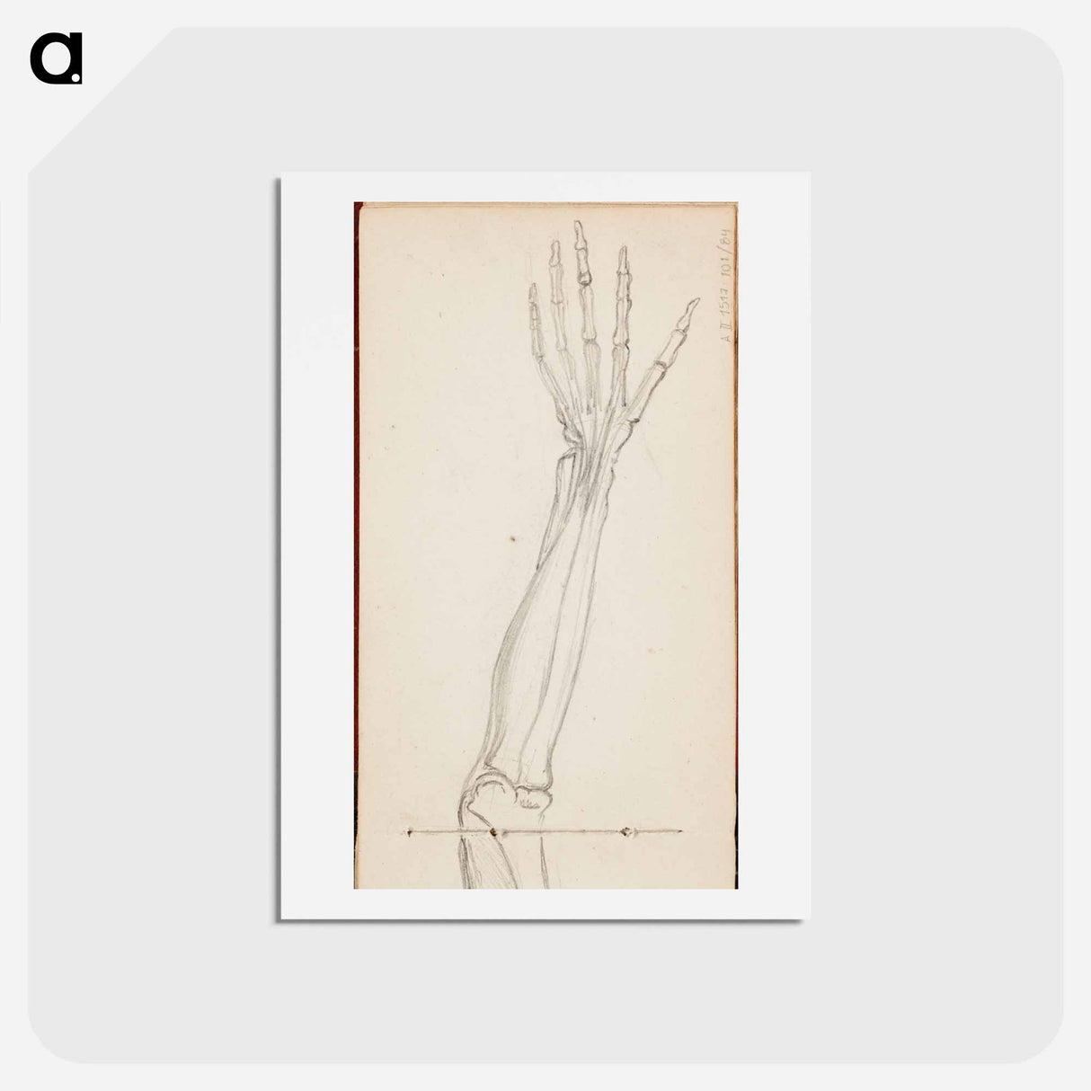 (unknown) part of a sketchbook - アルバート エーデルフェルト Postcard.