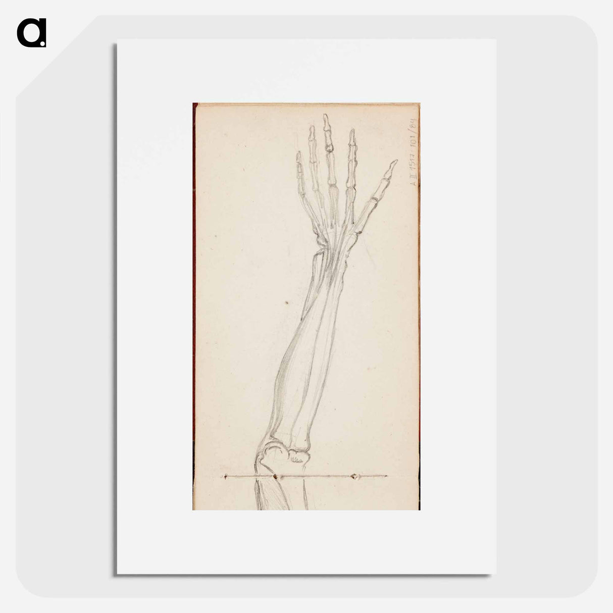 (unknown) part of a sketchbook - アルバート エーデルフェルト Poster.