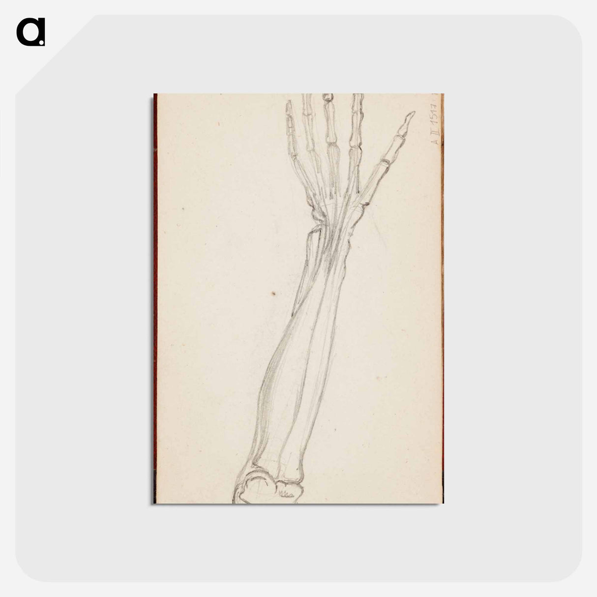 アートポストカード-(unknown) part of a sketchbook - アルバート エーデルフェルト Postcard.