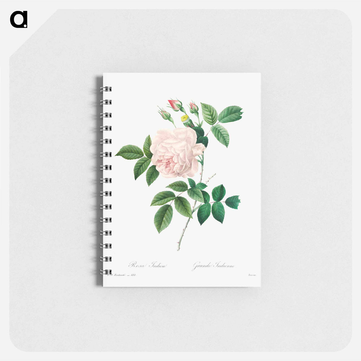 アートメモ帳-White rose - ピエール ジョゼフ ルドゥーテ Memo.