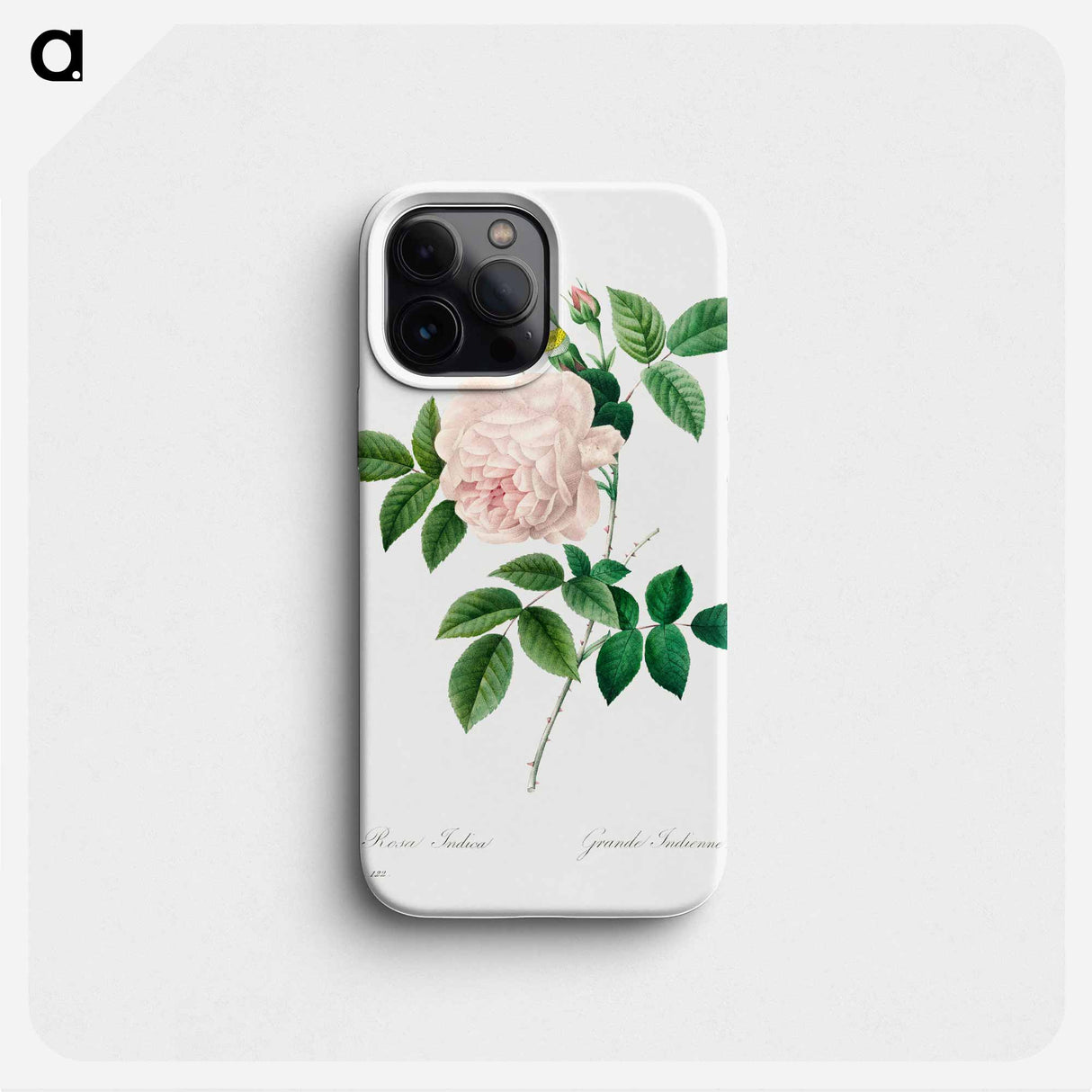 White rose - ピエール ジョゼフ ルドゥーテ Phone Case.