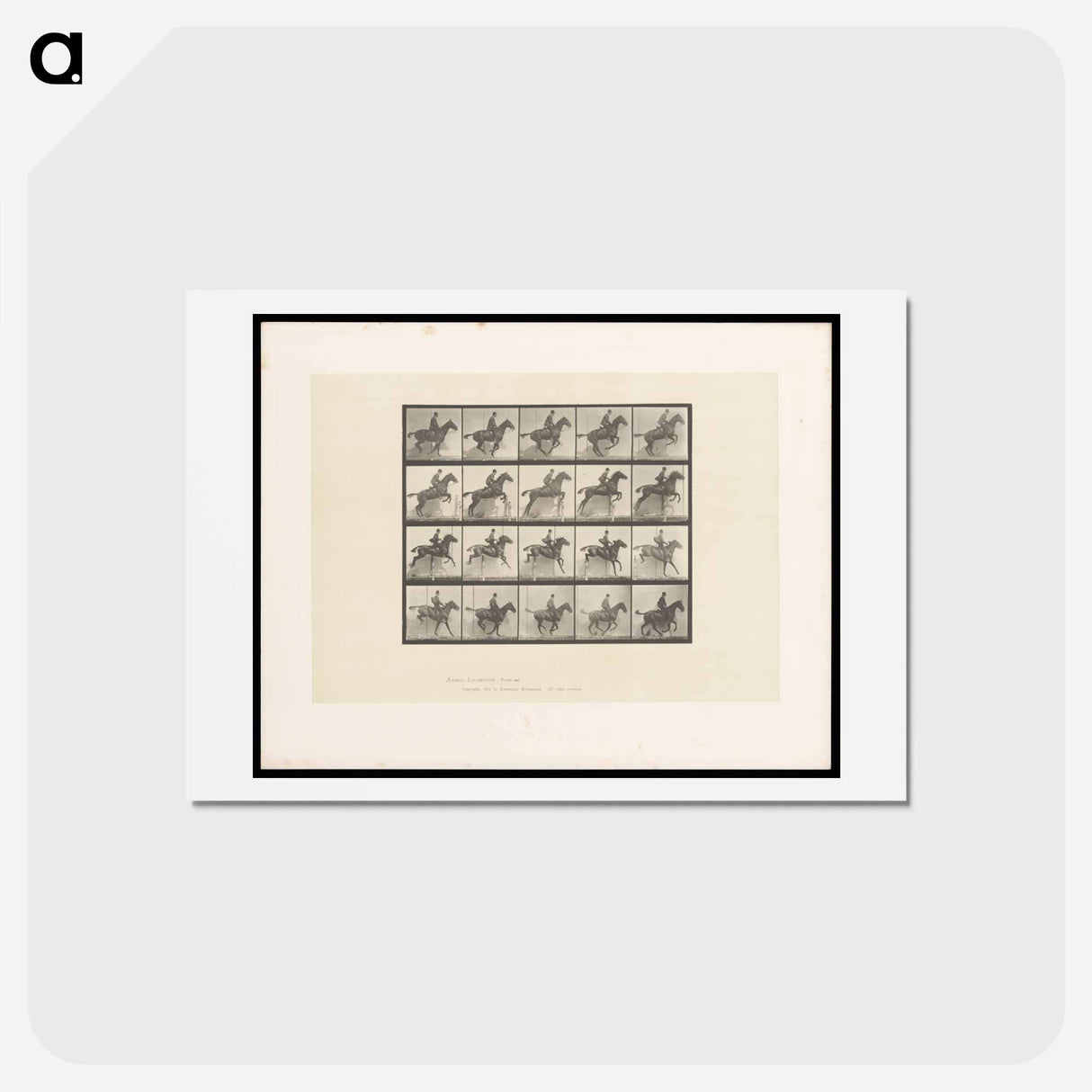 アートポストカード-Jumping Horse
- エドワード マイブリッジ Postcard.