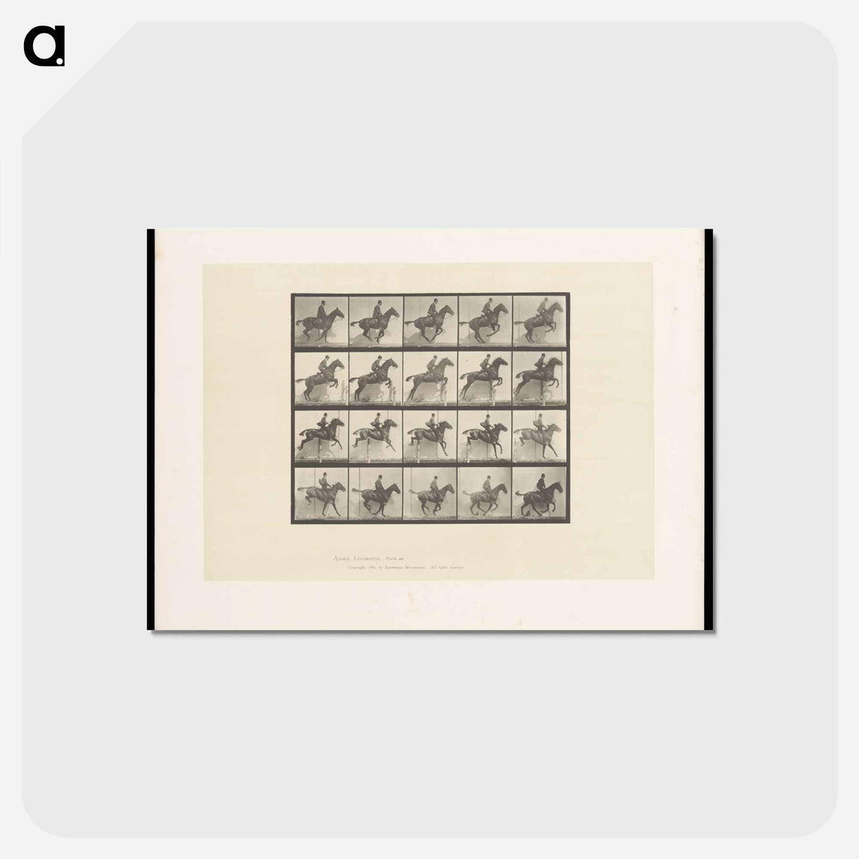 アートポストカード-Jumping Horse
- エドワード マイブリッジ Postcard.
