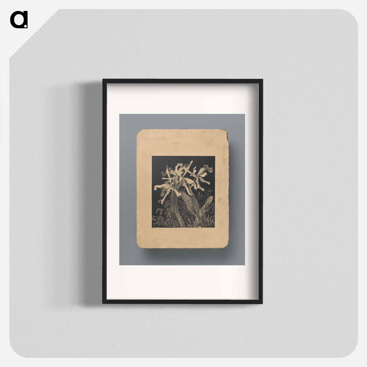 Orchideeën - Theo van Hoytema Poster.