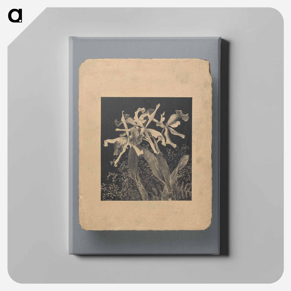 Orchideeën - Theo van Hoytema Canvas.