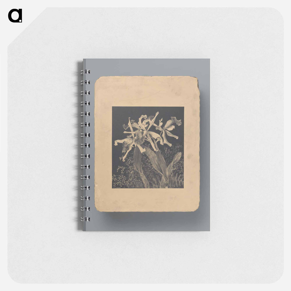 Orchideeën - テオ ヴァン ホイテマ Memo.