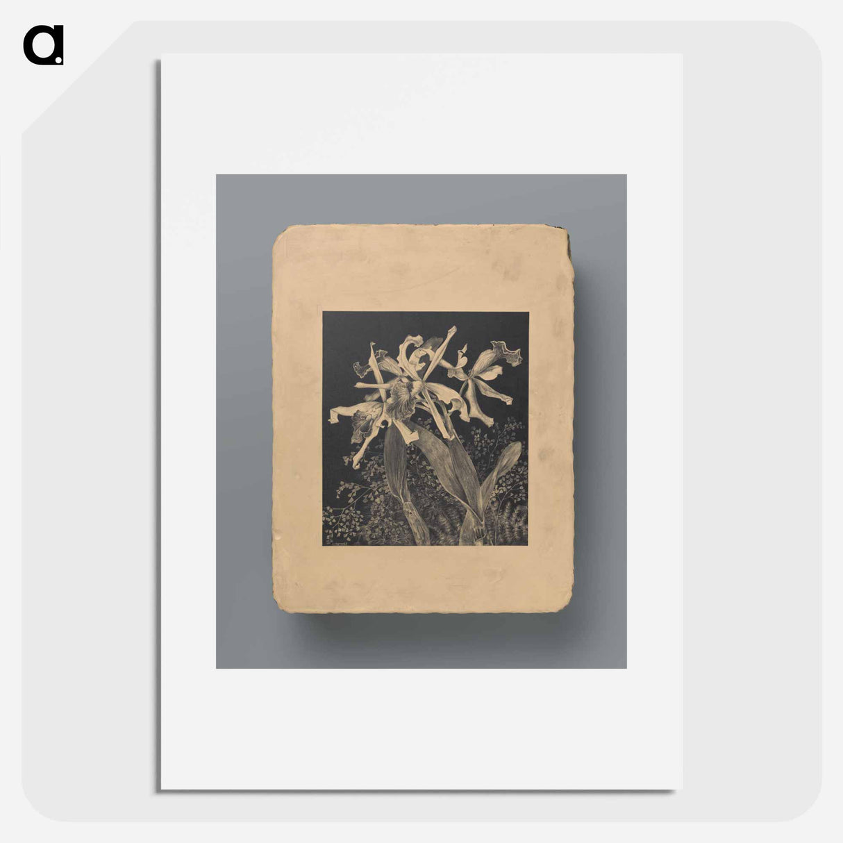 Orchideeën - Theo van Hoytema Poster.