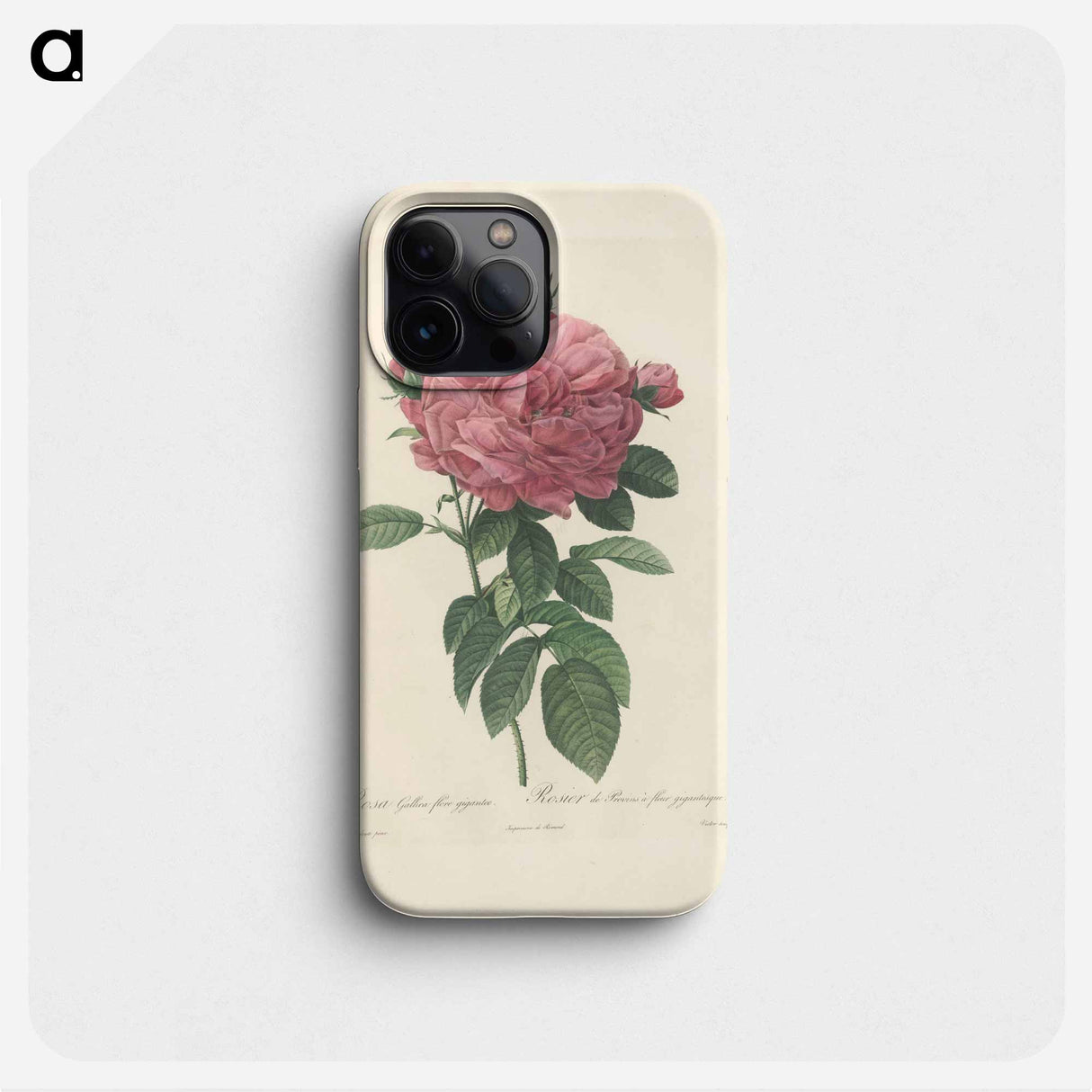 Rose illustration - ピエール ジョゼフ ルドゥーテ Phone Case.