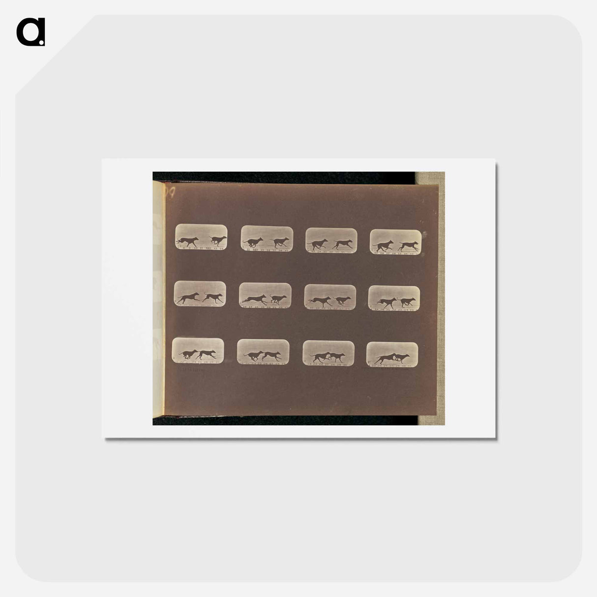 アートポストカード-Running
- エドワード マイブリッジ Postcard.
