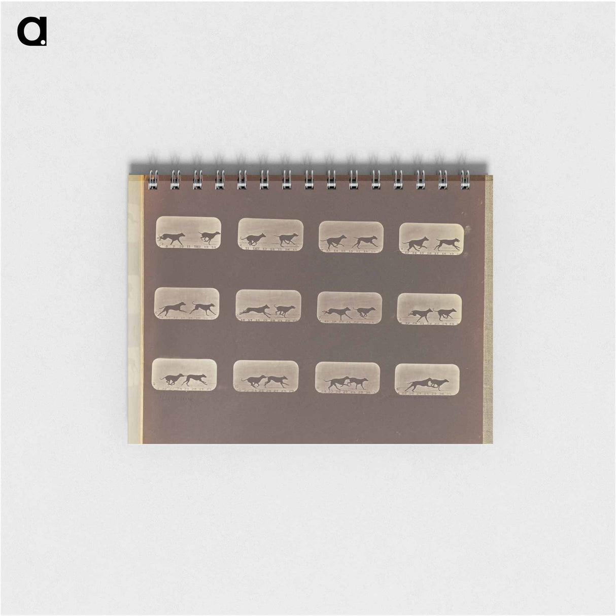 アートメモ帳-Running
- エドワード マイブリッジ Memo.