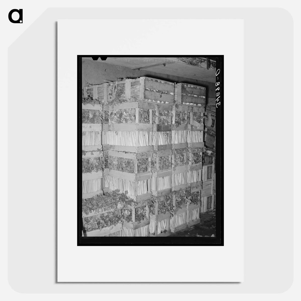アートポスター-Celery Crates
- ラッセル リー Poster.