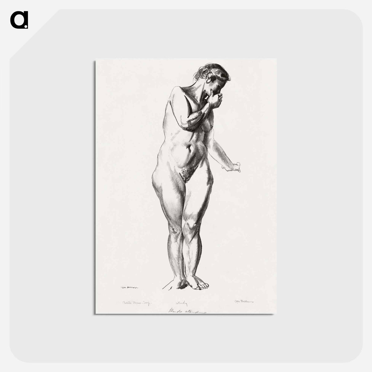 アートポストカード-Nude Study with Hand to Mouth
- ボストン公共図書館 Postcard.